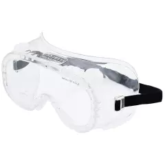 PRO FIT 8101, Vision Safety Goggles