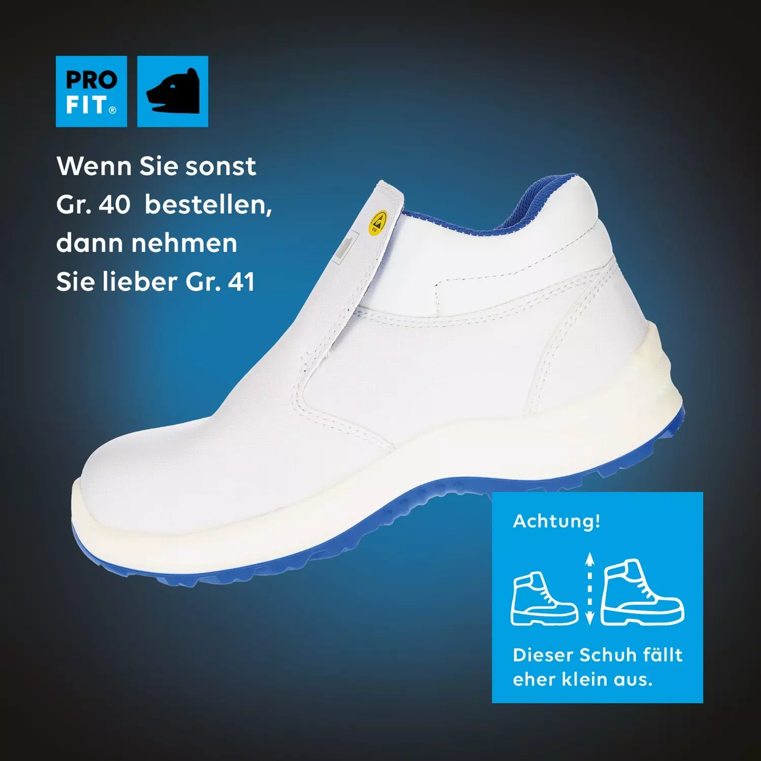 Fitzner Arbeitsschutz 121, ESD Safety Shoes S2, image 2