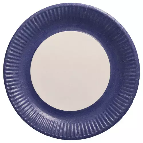 Papstar 88569, Biobased Party Teller, Pappe rund Ø 23 cm, image 3, gallery thumbnail