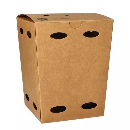Papstar 87259, Pure French Fries Boxes, Cardboard 15 cm x 10.5 cm x 10.5 cm 100% Fair Small, image 1, gallery thumbnail