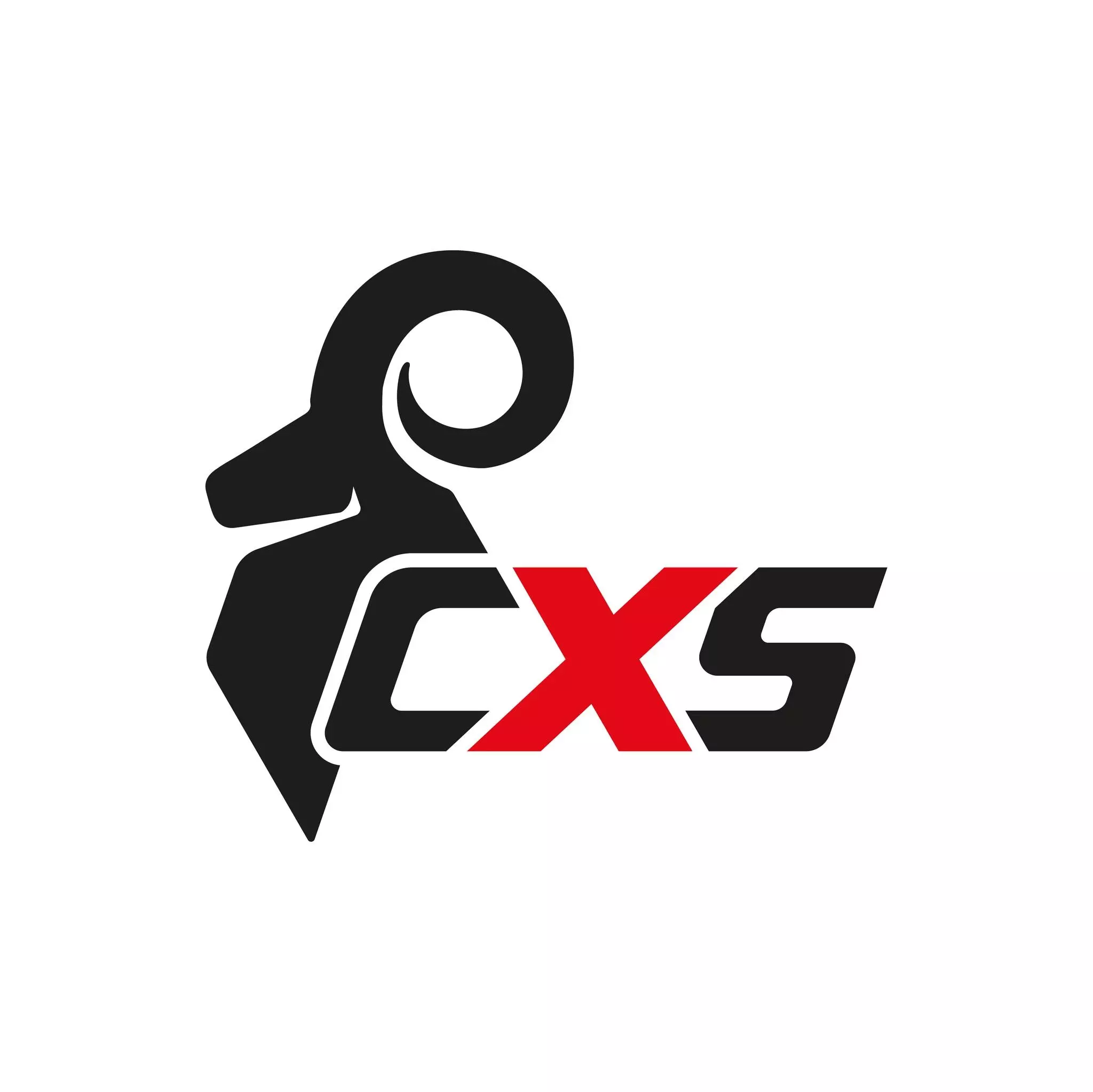 Logo för leverantören CXS