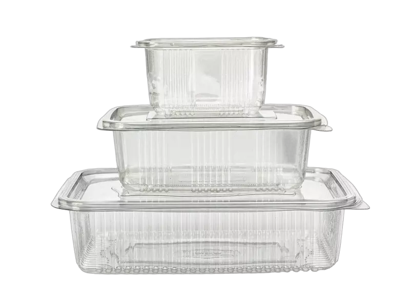 Dehobe D-MR1250, Plastic Box with Hinged Lid 1250 ml, image 1, gallery thumbnail
