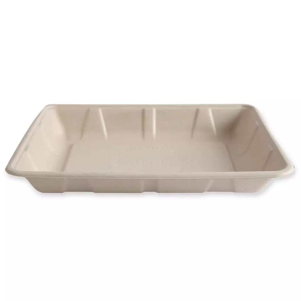 NATUREStar 411615, Bio bagasse-ruokatarjottimet, 240 x 180 x 30 mm, luonnonvärinen, image 2, gallery thumbnail