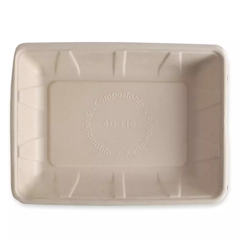 NATUREStar 411615, Bio bagasse-ruokatarjottimet, 240 x 180 x 30 mm, luonnonvärinen, image 1, gallery thumbnail
