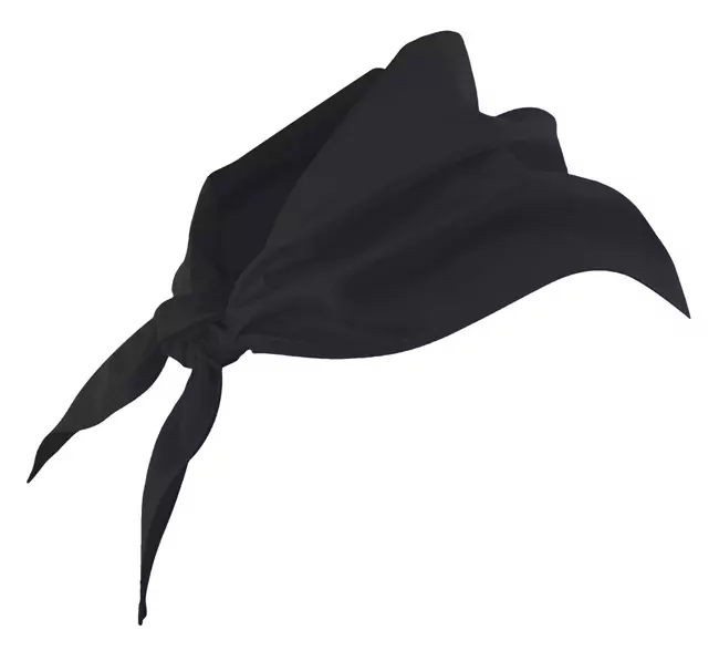 Velilla 404003-00, Chef-Bandana, Schwarz, image 1, gallery thumbnail