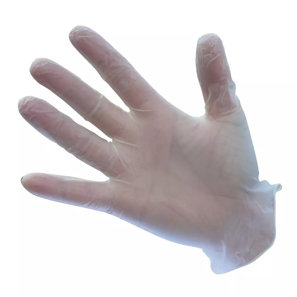 Portwest A900CLR, Powdered Vinyl Disposable Glove, Clear, image 1, gallery thumbnail