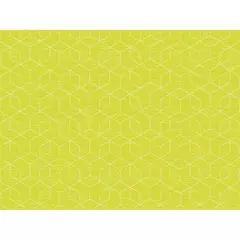 Duni 201553, Bio Dunicel® Placemat 30x40cm Graphics Kiwi