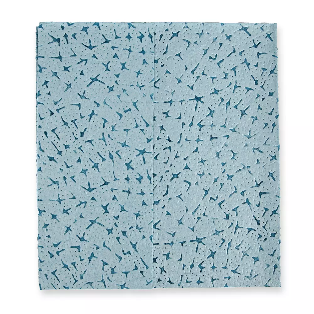 HygoClean 317960, PP Cleaning Cloths, Turquoise, image 2