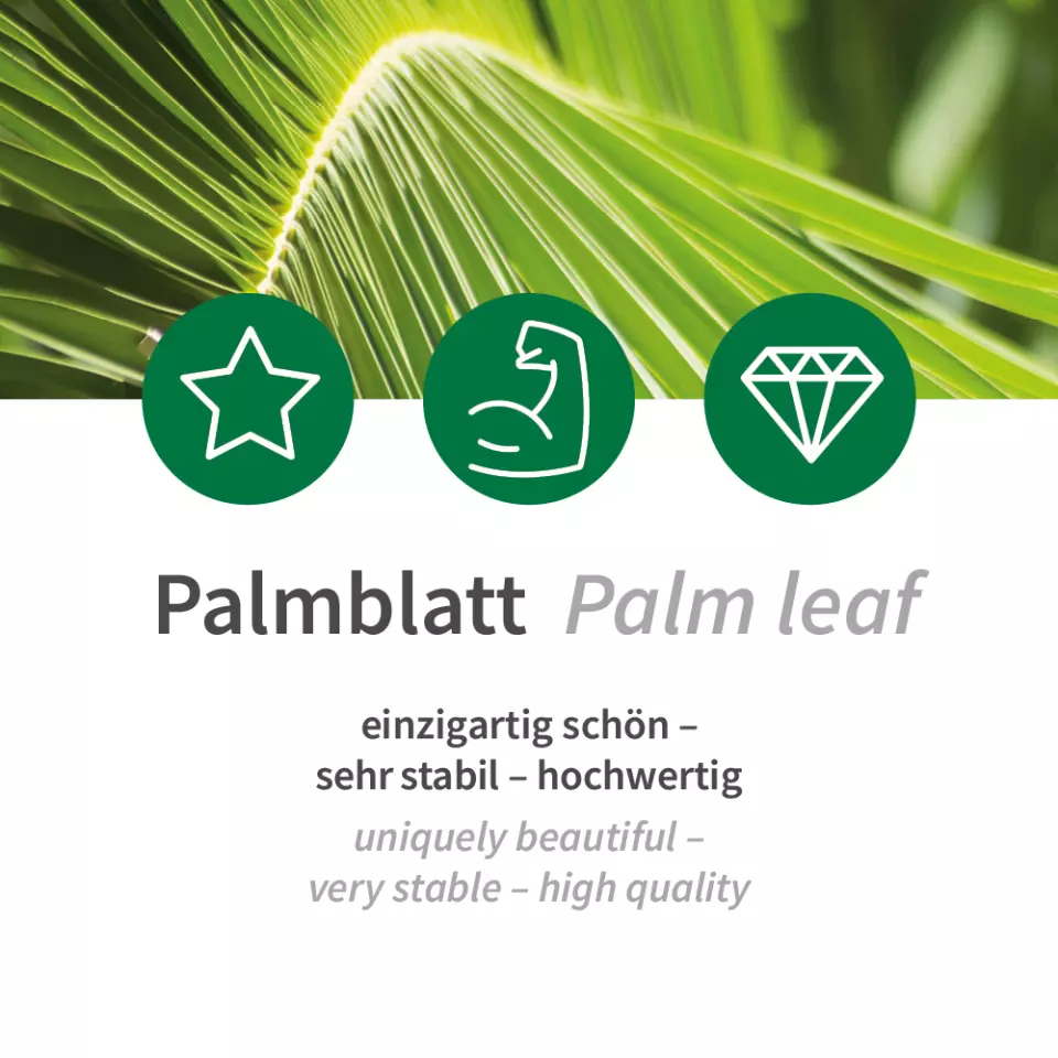 NATUREStar 410626, Bio-Palmblatt-Teller, Quadratisch, 200 x 200 mm, image 9, gallery thumbnail