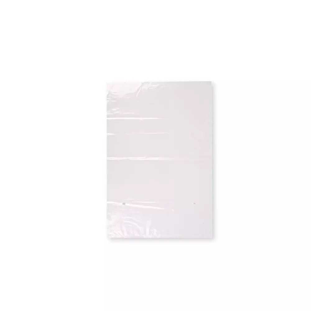 Franz Mensch 955102, LDPE Flachbeutel, 200 x 320 mm, image 1