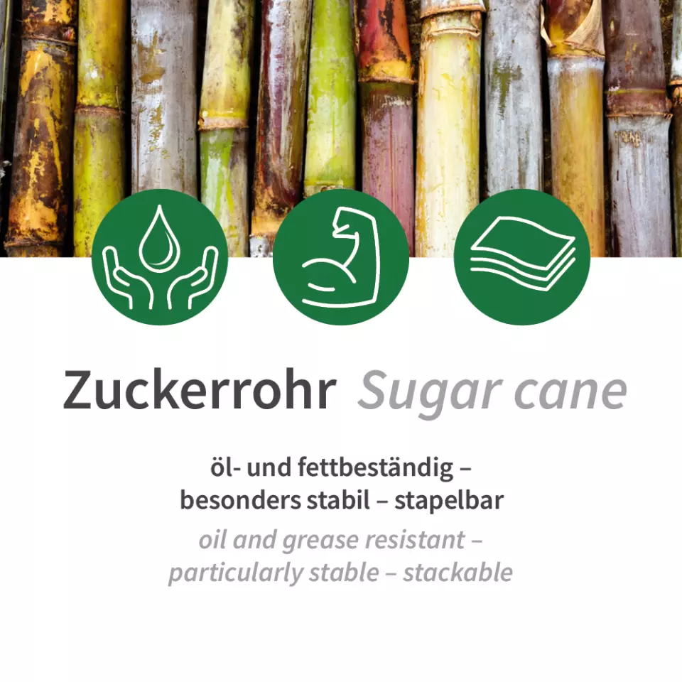 NATUREStar 411515, Bio-Bagasse Snackschalen, 236 x 135 x 55 mm, 800 ml, Oval, image 10, gallery thumbnail