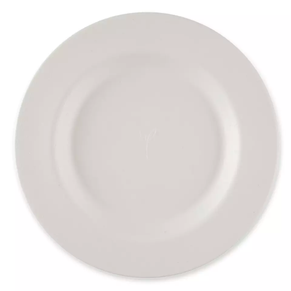 NATUREStar 410260, Gourmet runde Bagasse-Teller, Ø 270 mm, image 1, gallery thumbnail